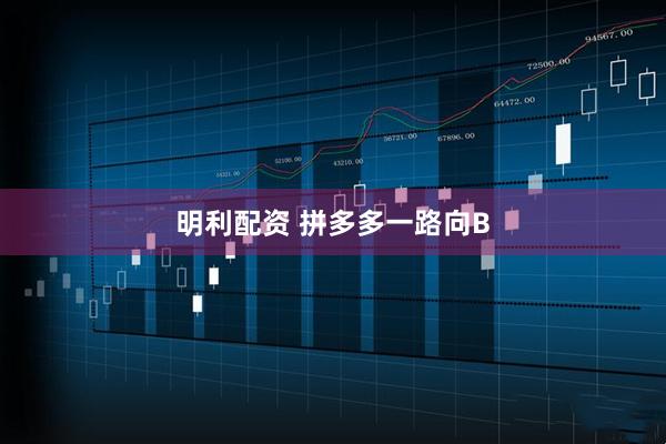 明利配资 拼多多一路向B