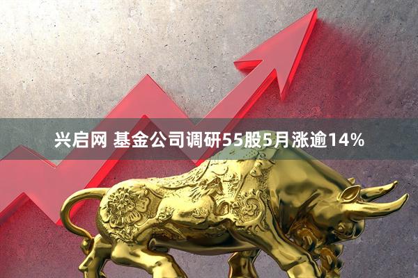 兴启网 基金公司调研55股5月涨逾14%