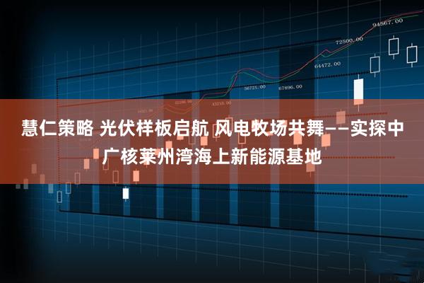 慧仁策略 光伏样板启航 风电牧场共舞——实探中广核莱州湾海上新能源基地