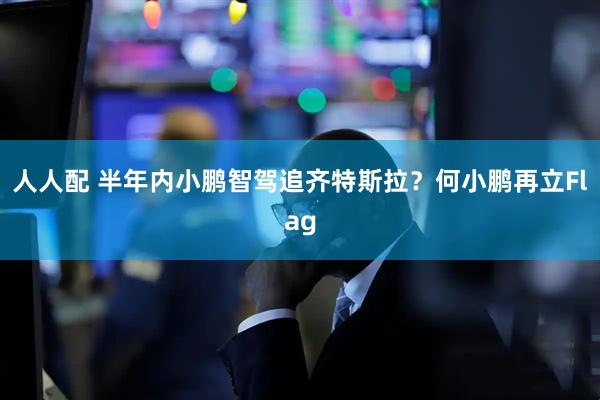 人人配 半年内小鹏智驾追齐特斯拉？何小鹏再立Flag