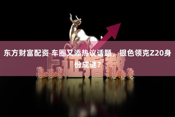 东方财富配资 车圈又添热议话题，银色领克Z20身份成谜？