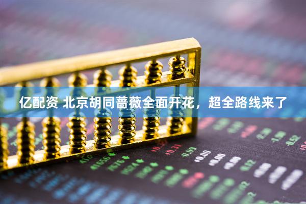 亿配资 北京胡同蔷薇全面开花，超全路线来了